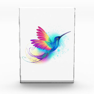 Bloc Photo Exotic Rainbow Hummingbird