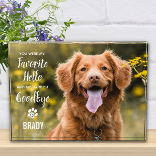 Bloc Photo Favori Hello Hardest Goodbye Pet Loss Memorial