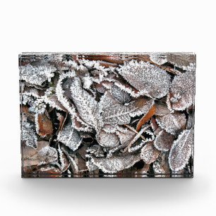 BLOC PHOTO FEUILLES HIVER