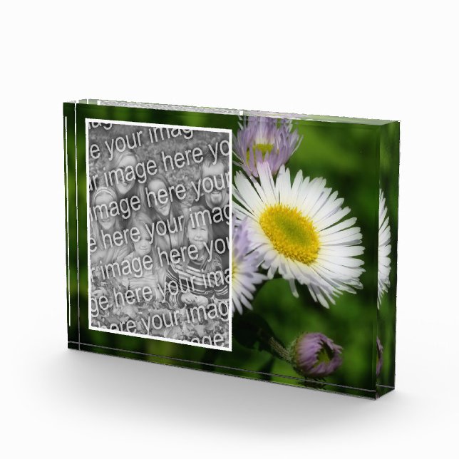 Bloc Photo Fleabane sauvage Fleur de marguerite Créez votre p (Droite)