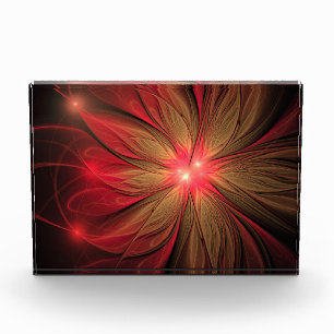 Bloc Photo Fleur fractale de fansy rouge
