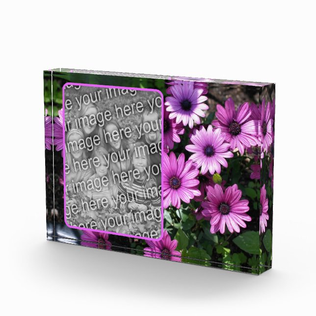 Bloc Photo Fleurs de marguerite violette africaine Ajouter vo (Droite)
