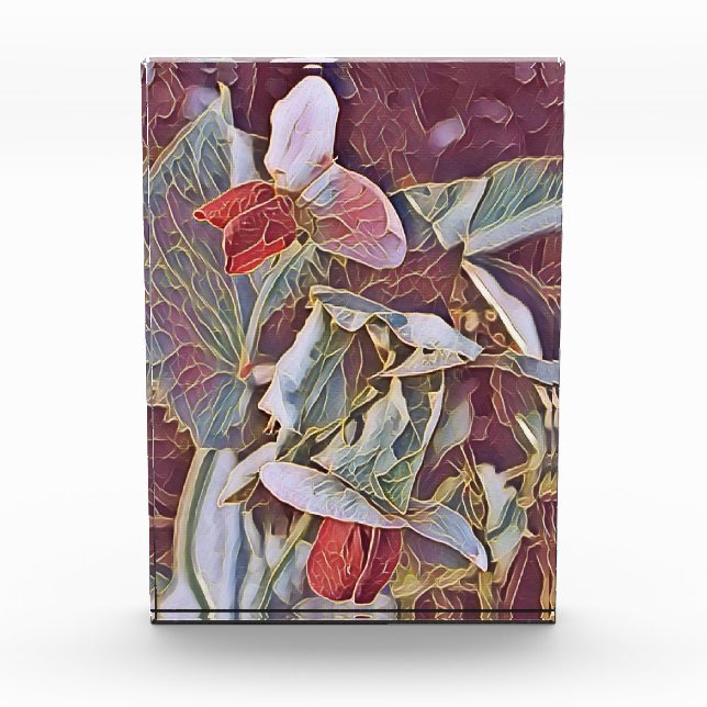 BLOC PHOTO FLEURS DE POIS DOUCES (Devant)