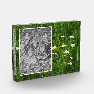 Bloc Photo Fleurs Faisy En Champ Ajoutez Votre Propre