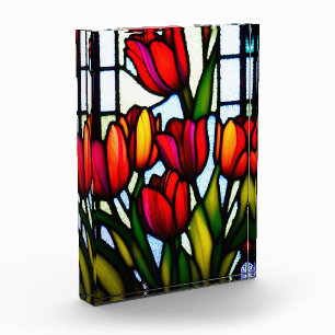 Bloc Photo "Flores de verre tendu : Tulipes de tête en couleu