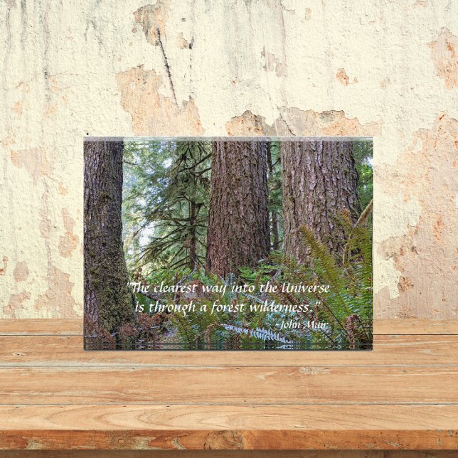 Bloc Photo Forêt de conifères géante avec citation de John Mu (In Situ)