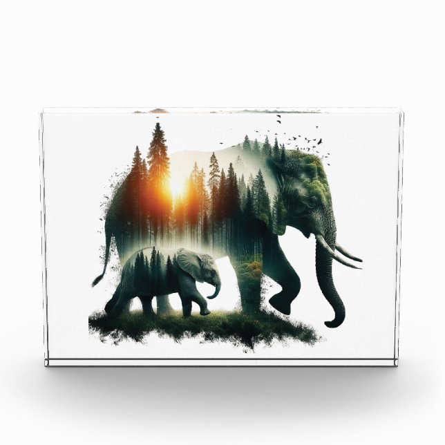 Bloc Photo Forêt d'Éléphants  (Devant)