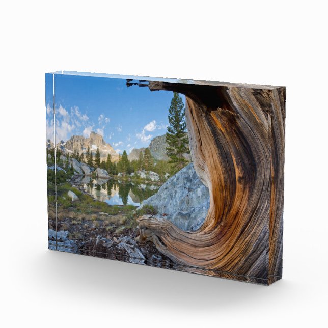 Bloc Photo Forêt nationale d'Inyo, Californie (Droite)