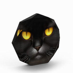 Bloc Photo Funny Fluffeux noir Perse noir chaton visage