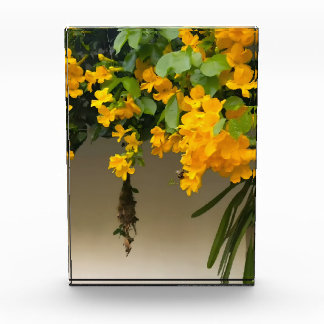 Bloc Photo Golden Blossom Beauty