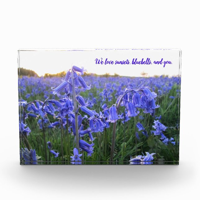 Bloc Photo Golden Hour Bluebells - Fête des mères personnalis (Devant)