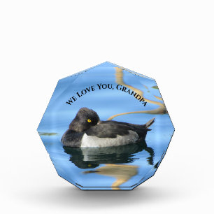 Bloc Photo Grand-père Black White Duck Photo Reflection Natur