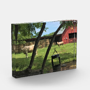 Bloc Photo Grange et vaches, toile de Caroline du Nord rurale