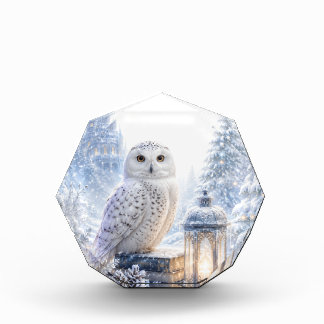 Bloc Photo Hibou Blanc Magie d'Hiver