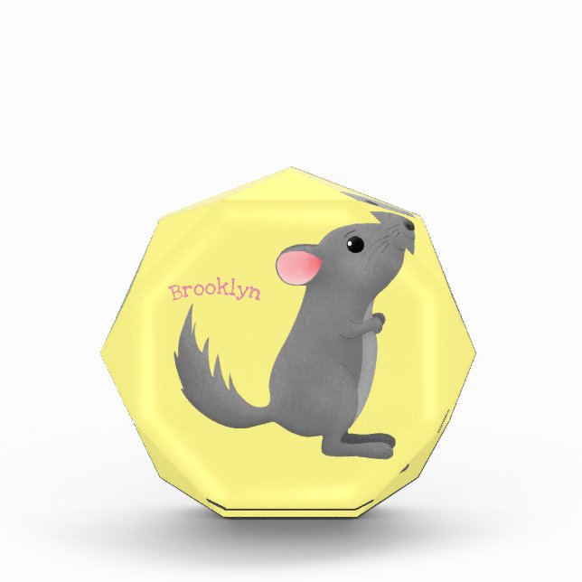 Bloc Photo Illustration de chinchilla gris mignon (Devant)