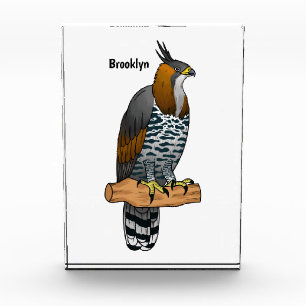 Bloc Photo Illustration de dessin animé d'aigle huppé ornée