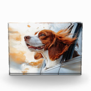Bloc Photo Impression d'art de chien joyeux dans le vent