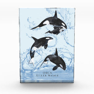 Bloc Photo Incroyable Orques d'aquarelle noire et blanche