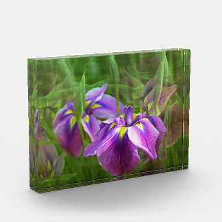 Bloc Photo Irises pourpres en mouvement