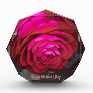 Bloc Photo La Camellia Rosy Joyeuse Fête des Mères