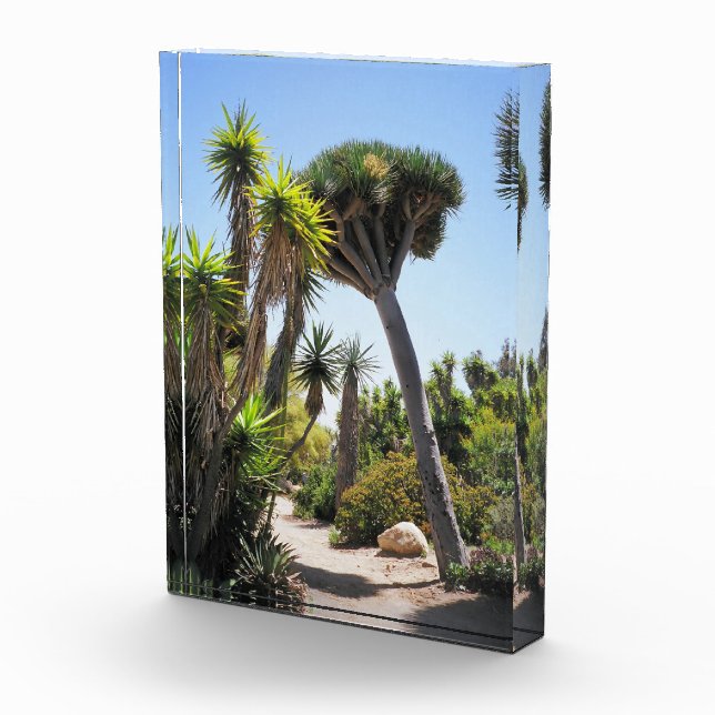 Bloc Photo Le Cactus Garden Balboa Park (Droite)
