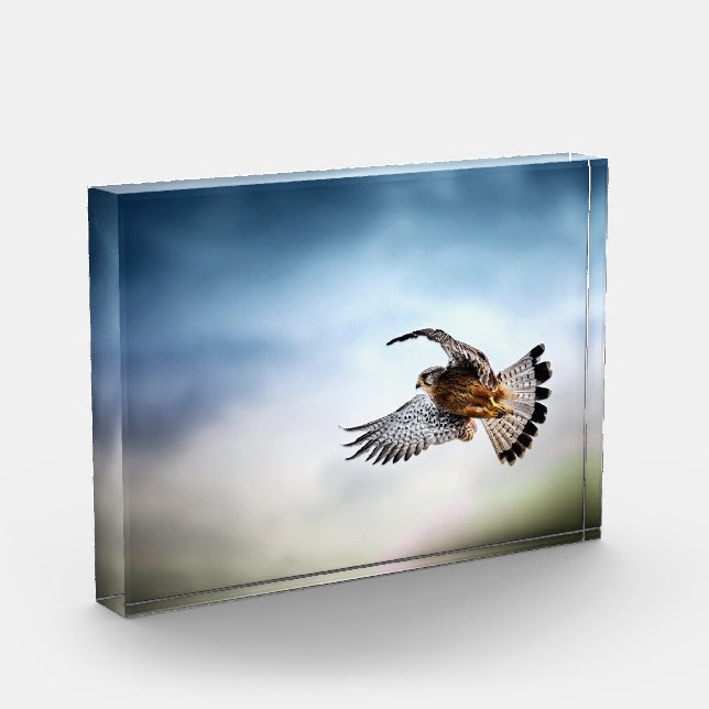 Bloc Photo Le faucon s'envole dans le ciel (Gauche)