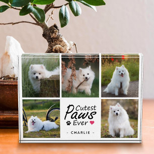Bloc Photo Magnifiques Pattes Collage de Photos de Chien Mode