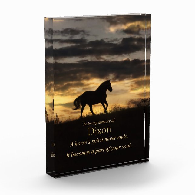 Bloc Photo Memorial Horse Spirit (Gauche)