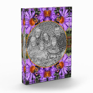 Bloc Photo Miel Abeille Sur Aster Flower Ajouter Votre