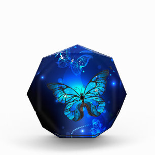 Bloc Photo Morpho Butterfly in the Dark Background
