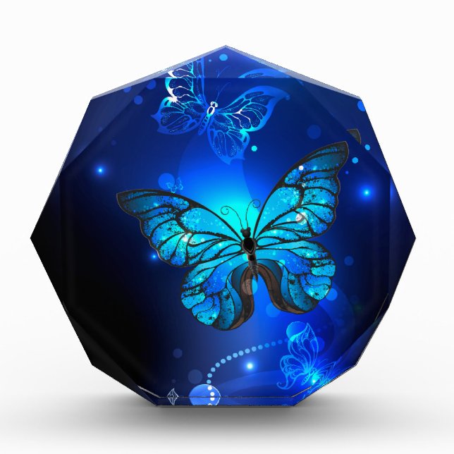 Bloc Photo Morpho Butterfly in the Dark Background (Devant)