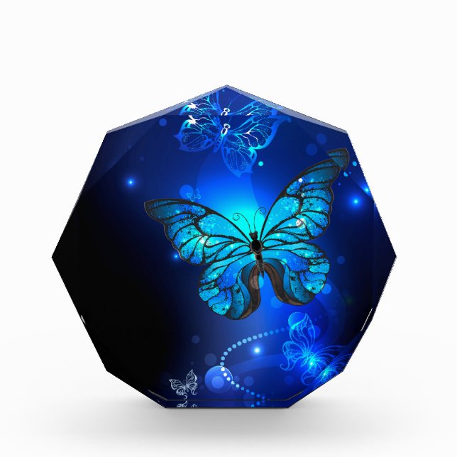 Bloc Photo Morpho Butterfly in the Dark Background (Devant)