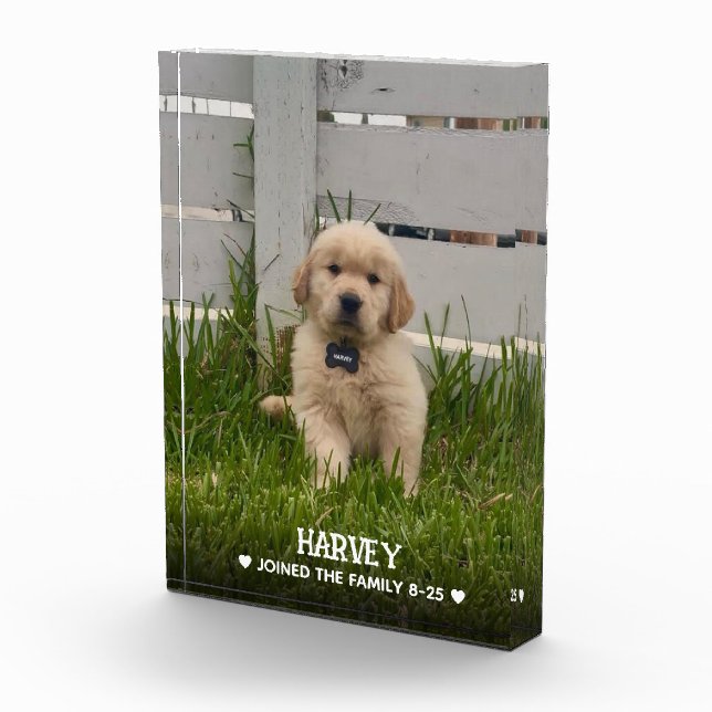 Bloc Photo My Dog Photo (Droite)