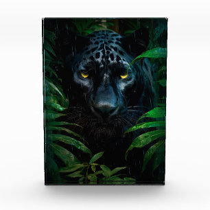 Bloc Photo Mystérieux Black Panther Jungle Faune Design