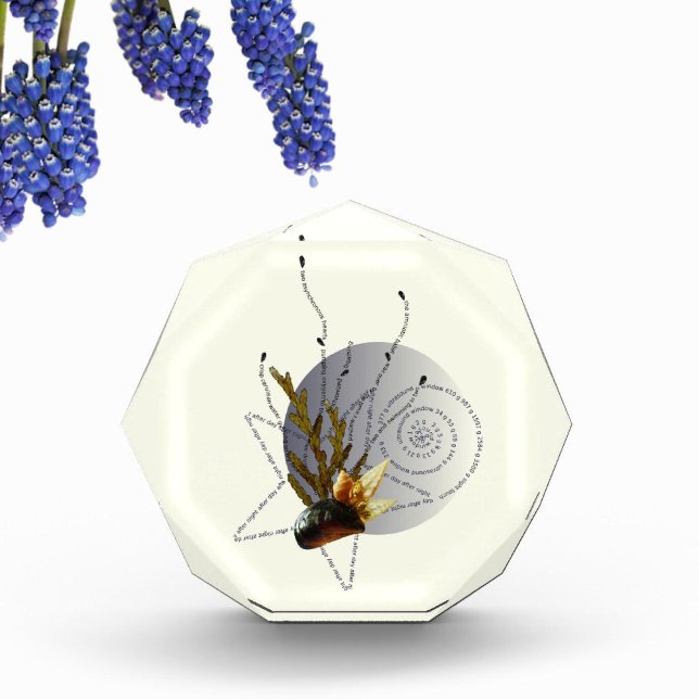 Bloc Photo Natation 2 poème de grossesse étoile côtière moder (Créateur téléchargé)