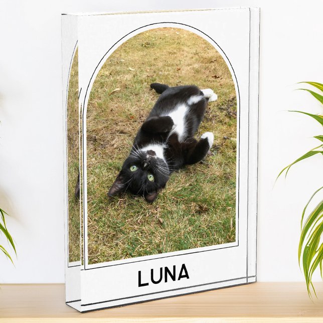 Bloc Photo Nom personnalisé de l'animal de compagnie Arc mode (Modern arch photo block with personalized custom name text, ideal for family or pet photos)