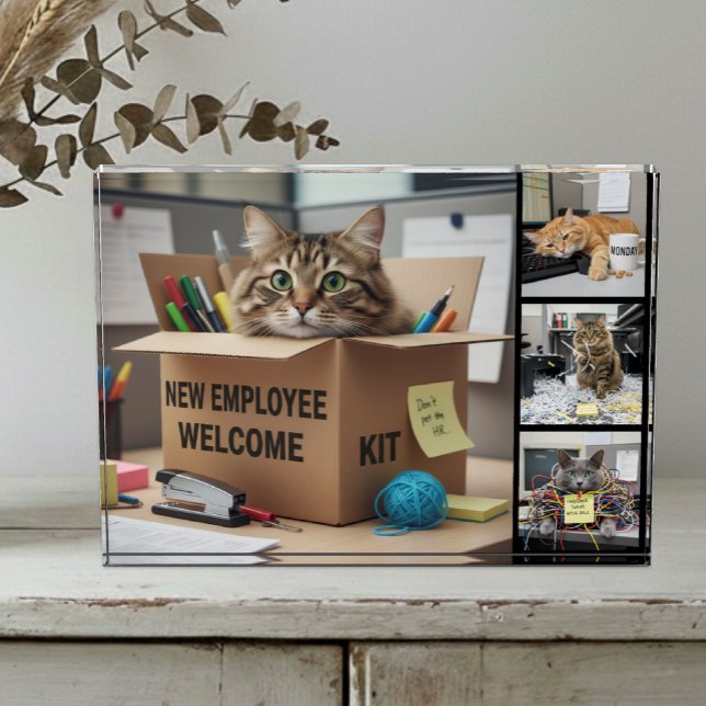 Bloc Photo Office Fun Cats Photo, City, Business Cat (Fun Office Cats Meme Photo Block)