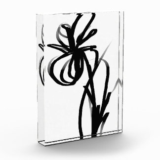 Bloc Photo Orchidée Blanc : Abstrait blanc et noir