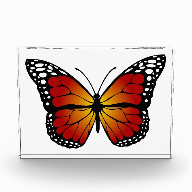 Bloc Photo Papillon (Devant)