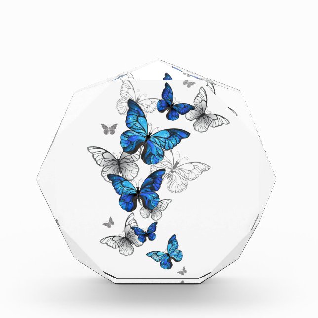 Bloc Photo Papillons volants bleus Morpho (Devant)