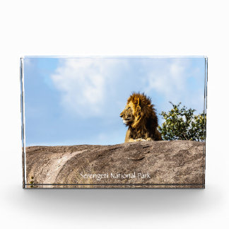 Bloc Photo Parc national du Serengeti