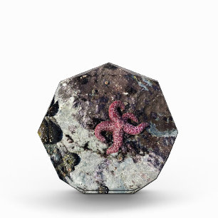 Bloc Photo Parc Rock State de Sisters