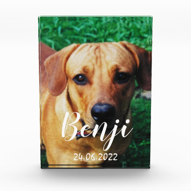 Bloc photo personnalisé en acrylique pour animal d (Devant)