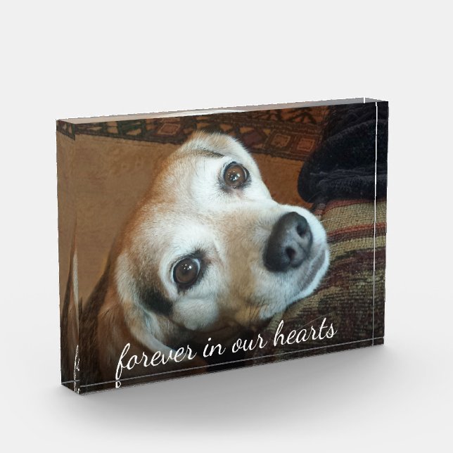 Bloc Photo Photo Commémorative Pour Animaux Dans Nos Coeurs (Gauche)