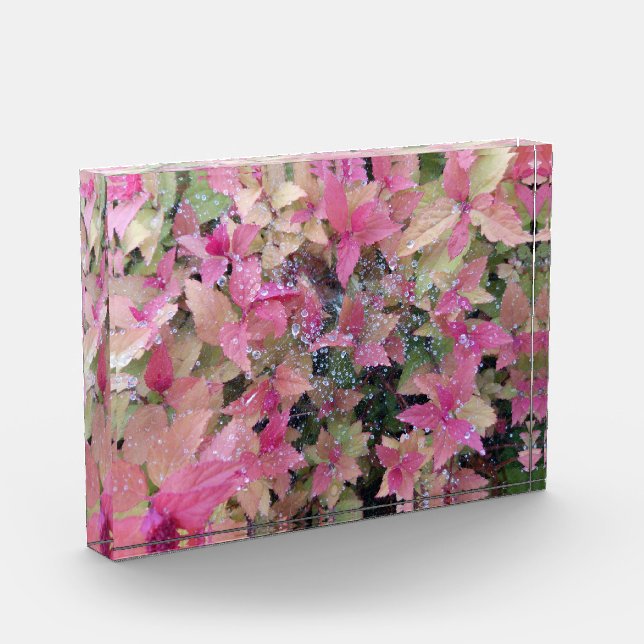 Bloc Photo Photo de fleurs (Gauche)