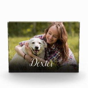 Bloc Photo Photo pour animaux de compagnie de script moderne
