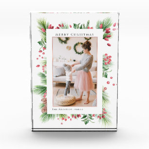 Bloc Photo Photos Rosehips & Holly Berries