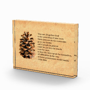 Bloc Photo Pine Cone Et John Muir Citation