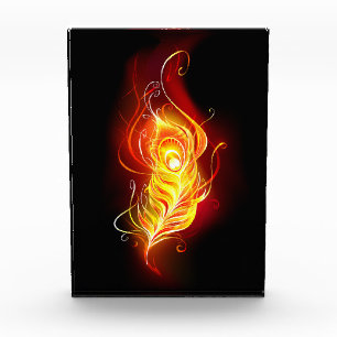 Bloc Photo Plumes de paquetage de feu