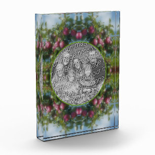 Bloc Photo Pommes Rouges Sur Le Cadre De Peinture D'Arbre Ajo